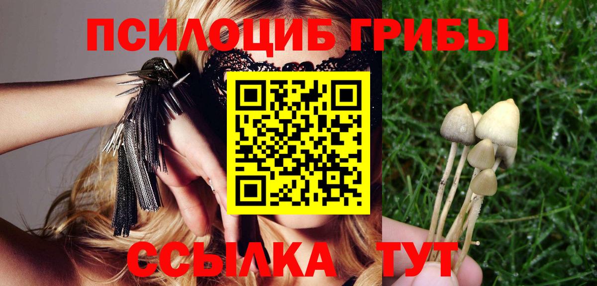 Псилоцибиновые грибы Cubensis  Вход с VPN  Ижевск  сколько стоит  Псилоцибиновые грибы Magic Shrooms 