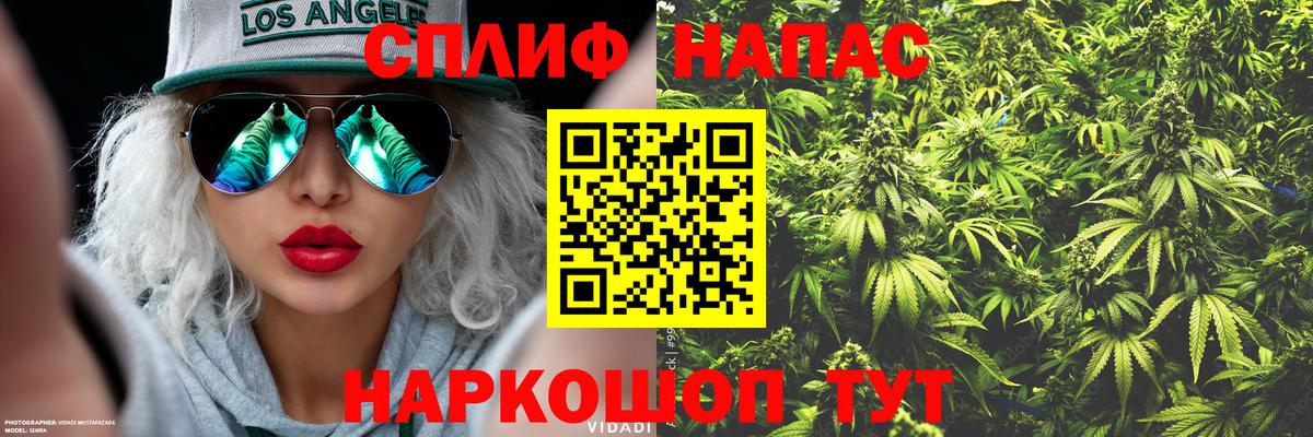 Ижевск  Шишки марихуана Bruce Banner  Бошки Шишки планчик  МАРИХУАНА гибрид  Шишки марихуана индика  Вход с VPN 